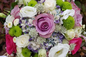 Blumen, Pflanzen Werder