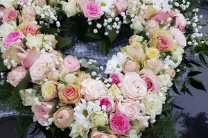 Blumen, Pflanzen Werder