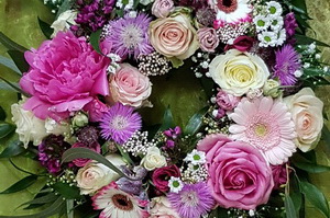 Blumen, Pflanzen Werder