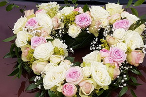 Blumen, Pflanzen Werder