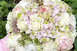 Blumen, Pflanzen Werder