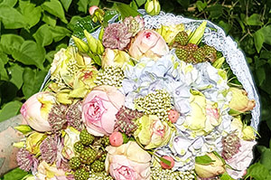 Blumen, Pflanzen Werder